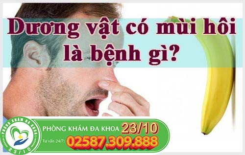 Dương vật có mùi là bị bệnh gì?